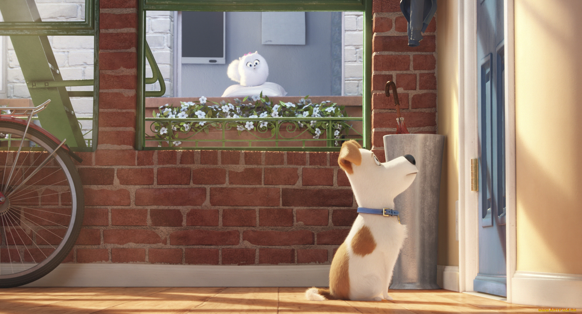 the secret life of pets, , 